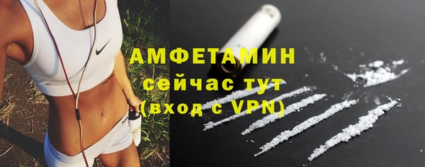 стаф Покачи