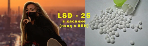 стаф Покачи