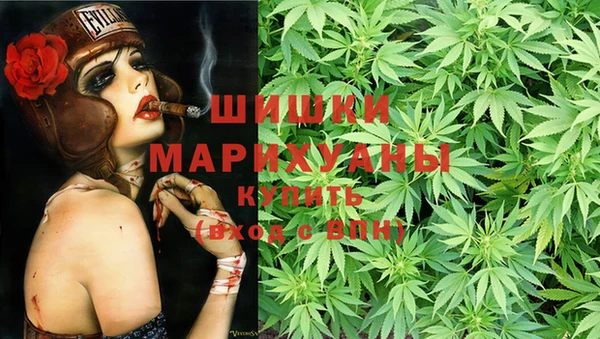 стаф Покачи