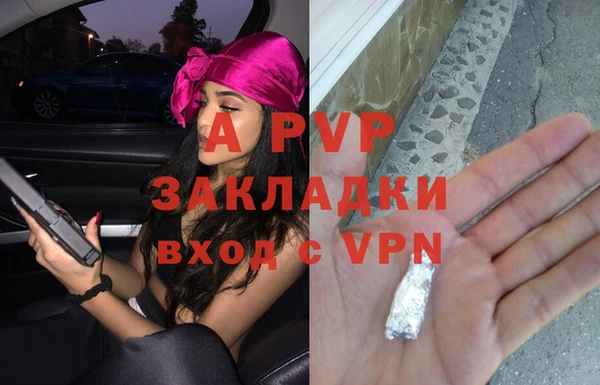 стаф Покачи